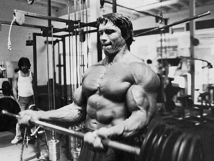 arnold schwarzenegger photos. Arnold Schwarzenegger